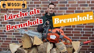 Lärche als Brennholz / Kaminholz - Brennwert, Gewicht, Fakten -Woodi