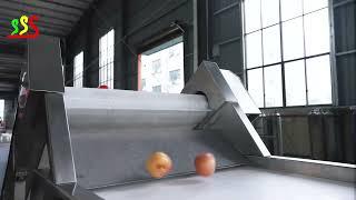 Apple Puree and Jam Production Line