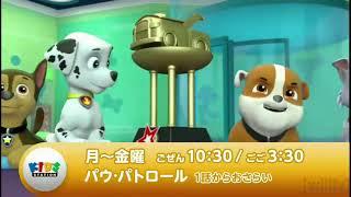 Kids Station Japan - Continuity - (6/4/2024)