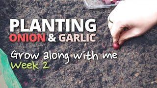 Planting Onion & Garlic Sets | Grow Along With Me - Week 2