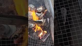 우도 숙소 다올 펜션 노을 머금은 바다 뷰 맛집 제주 펜션 #우도 #뿔소라 #제주뿔소라