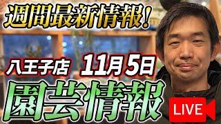 【最新情報】11月5日 グリーンギャラリーガーデンズ入荷情報を一挙公開！【特別版】