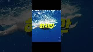 섬과 섬을 수영으로 횡단 하던 여성에게 벌어진 일ㄷㄷ