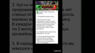 дачные хитрости.