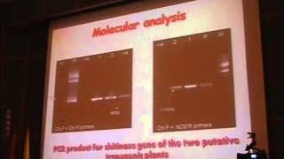 Development of Transgenic Wheat with Improved Biotic and Abiotic Stress Tolerance