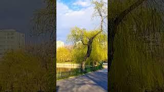 Springtime in Bucharest, Romania | The Most Beautiful Parks of Bucharest in Spring