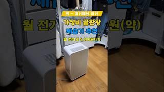 가성비 끝판왕 제습기 추천