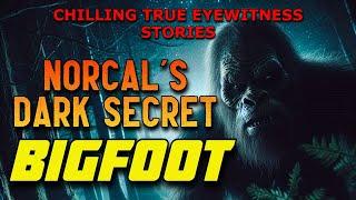 NORTHERN CALIFORNIA'S DARK SECRET - TRUE BIGFOOT ENCOUNTERS