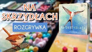 Na Skrzydłach (Wingspan) - pełna rozgrywka | zasady w praktyce | gameplay