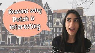 AMERICAN LINGUIST describes interesting aspects about the Dutch language!