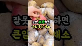  경고! 이 채소 이렇게 보관하면 독 됩니다 #food