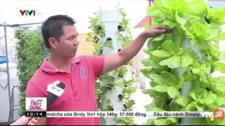 Độc đáo mô hình rau khí canh | VTV24