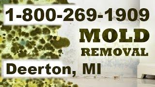Mold Removal Deerton MI 1-800-269-1909 | Mold Remediation Deerton Michigan
