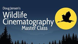 DOUG JENSEN'S WILDLIFE CINEMATOGRAPHY MASTER CLASS