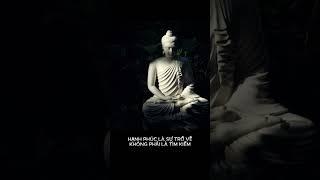 Hạnh phúc là sự trở về, không phải là tìm kiếm #chualanh #tamlinh #loiphatday