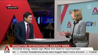 Woodside Energy CEO on LNG outlook and green transition plans