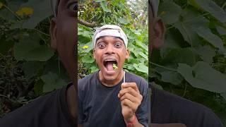 ASMR AMERICA'S CANDY ORIGINAL DUBBLE BUBBLE GUM (3 FRUIT FLAVORS) AND EATING...part3