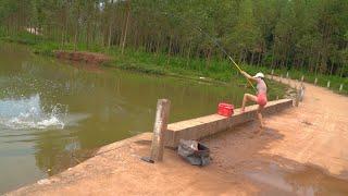 Amazing Fishing. Beautiful Girl Fishing Giant At National Road