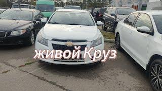 Автоподбор/ audi Q5/ Chevrolet Cruze/ Volvo xc-90