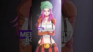 The Curious Case of Bonney: One Piece Anime