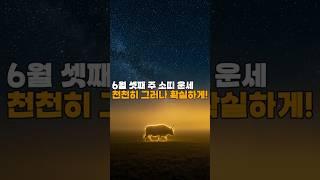[골목점집 운세]  소띠 주간운세｜성실함이 복을 부릅니다! #골목점집  #운세채널  #띠별운세  #오늘의운세  #월간운세  #주간운세  #타로운세  #사주풀이  #신점운세