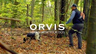 ORVIS - How to Hike with Your Dog