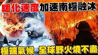 地球暖化速度加速南極融冰 極端氣候 全球野火燒不盡 海冰面積退縮創新低紀錄 衝擊企鵝生存【專題報導】