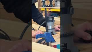 Turning trees into treasures - one build at a time #chroniclewoodsk￼