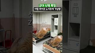 군대 신병 특징 #shorts #군대