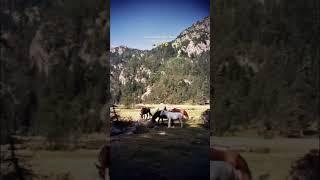 Busy making memories that last forever…  #mountains #pyrenees #camping #makingmemories