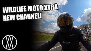 Wildlife Moto XTRA: Why I started This Channel