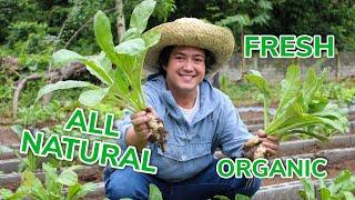 Vlog #1: Farm Tour with Councilor Javi Campos