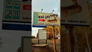 Вы уху ели? #прикол #мем #видеомем #видеоприколы #neonrussia  #мемы