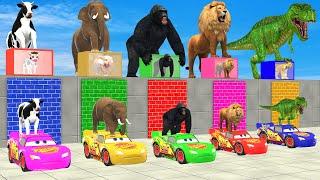 Don't Choose the Wrong Mystery Box  Cow Elephant Lion Gorilla Tiger T-Rex Mommy Animlas Fun Playtime