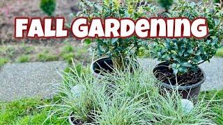 Planting Perennials in The Fall | October Magic Camellia & Carex Everest