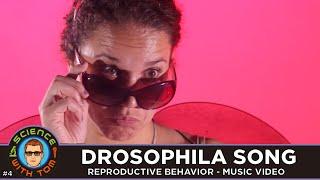 Drosophila Song - Music Video - Science With Tom #4