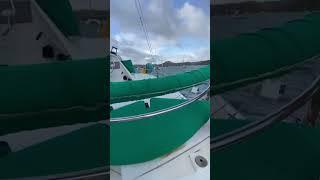 Wasabi