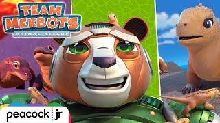 Reptile Rescues! 20 Minutes of Saving Scaly Friends  | TEAM MEKBOTS ANIMAL RESCUE