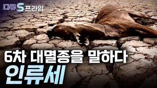 [다큐S프라임] 인류는 지구의 환경을 어떻게 바꾸어 놓았을까? / YTN 사이언스
