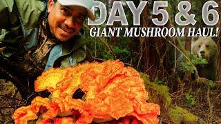 Amós Days 5 & 6 of 30 Day Survival Challenge Vancouver Island - Catch and Cook with Greg Ovens