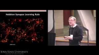 JW Wilson - The Neuroscience of Deming