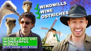 Shane & Ryan Explore California's Quaintest Town • Weird Wonderful World