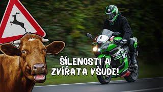 MOJE NEJŠÍLENĚJŠÍ CESTA NA MOTORCE!