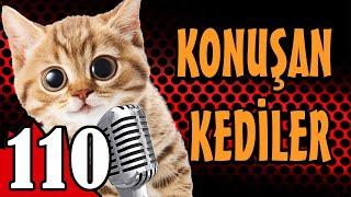 Konuşan Kediler 110 - En Komik Kedi Videoları - Pati TV