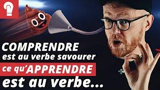 Comment on peut vous faire croire n'importe quoi, même les choses les plus absurdes • PUNCHLINE