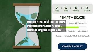 Whale Buys of $1M+ in IMPT Presale as 24 Hours Left - Hottest Crypto Right Now