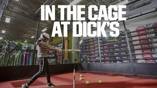 HitTrax Batting Cages at DICK’S Sporting Goods