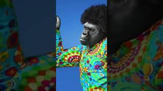 HallMack - Affenlocken #short