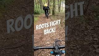 Roots fight back