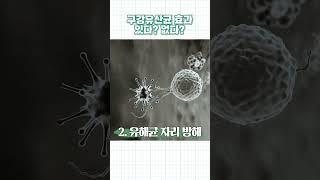 구강유산균 효과 있다? 없다?
